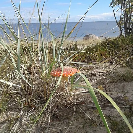 Majutus talus Prangli Island Praaga *