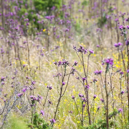 Prangli Island Praaga