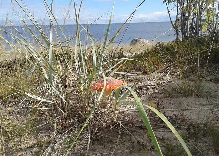 Majutus talus Prangli Island Praaga *